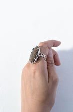 画像をギャラリービューアに読み込む, Ibuki Ring / 15号