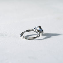 画像をギャラリービューアに読み込む, Minamo Ring / 15号