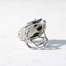 画像をギャラリービューアに読み込む, Ibuki Ring / 15号