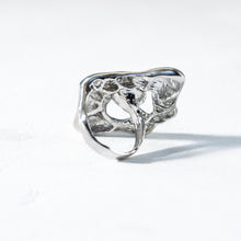 画像をギャラリービューアに読み込む, Tane Ring / 14号