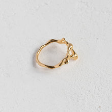 画像をギャラリービューアに読み込む, Amekaze Ring