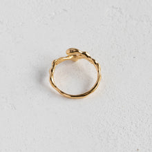 画像をギャラリービューアに読み込む, Amekaze Ring