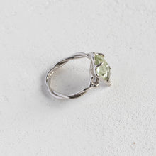 画像をギャラリービューアに読み込む, Minamo Ring/12号