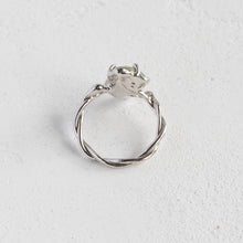 画像をギャラリービューアに読み込む, Minamo Ring/12号