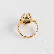 画像をギャラリービューアに読み込む, Ibuki Ring/14号