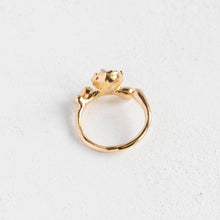 画像をギャラリービューアに読み込む, Minamo Ring/12号