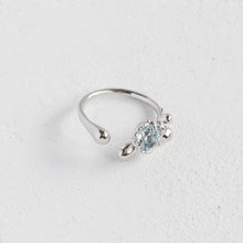 画像をギャラリービューアに読み込む, Minamo Ring/13号