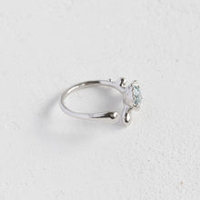 画像をギャラリービューアに読み込む, Minamo Ring/13号