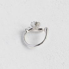 画像をギャラリービューアに読み込む, Minamo Ring/13号