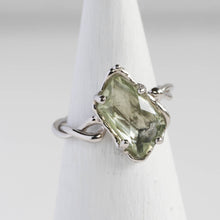 画像をギャラリービューアに読み込む, Minamo Ring/12号