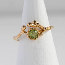 画像をギャラリービューアに読み込む, Utakata Ring/14号