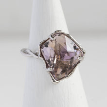 画像をギャラリービューアに読み込む, Minamo Ring/13号