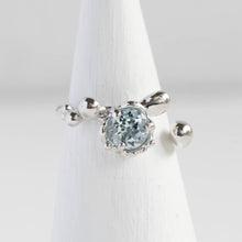 画像をギャラリービューアに読み込む, Minamo Ring/13号