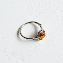 画像をギャラリービューアに読み込む, Minamo Ring/15号