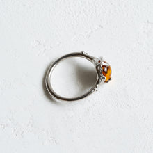 画像をギャラリービューアに読み込む, Minamo Ring/15号