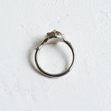 画像をギャラリービューアに読み込む, Minamo Ring/15号