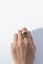 画像をギャラリービューアに読み込む, Ibuki Ring / 16号
