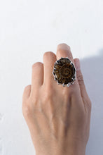 画像をギャラリービューアに読み込む, Ibuki Ring / 15号
