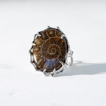 画像をギャラリービューアに読み込む, Ibuki Ring / 15号
