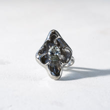 画像をギャラリービューアに読み込む, Tane Ring / 16号
