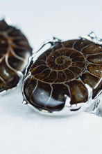 画像をギャラリービューアに読み込む, Ibuki Ring / 15号
