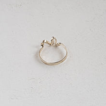 Load image into Gallery viewer, Sazanami Ring / silver 15号
