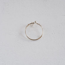 Load image into Gallery viewer, Ametsubu Ring / silver / 17号
